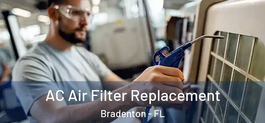 AC Air Filter Replacement Bradenton - FL