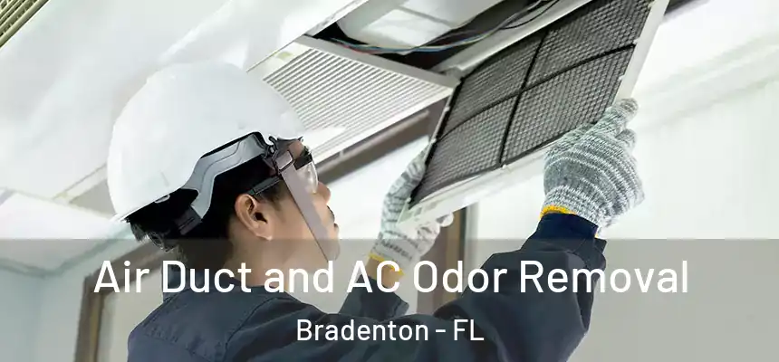 Air Duct and AC Odor Removal Bradenton - FL