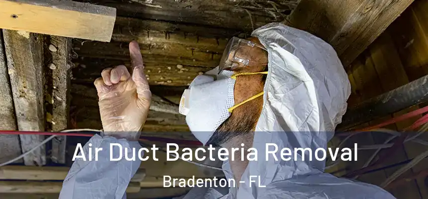 Air Duct Bacteria Removal Bradenton - FL