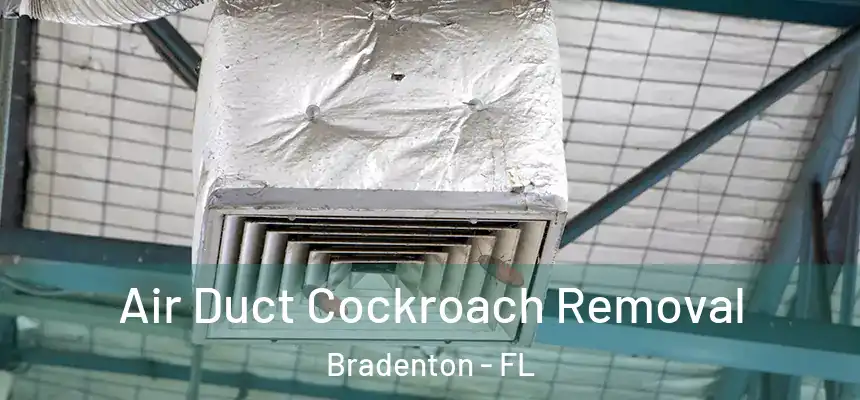 Air Duct Cockroach Removal Bradenton - FL