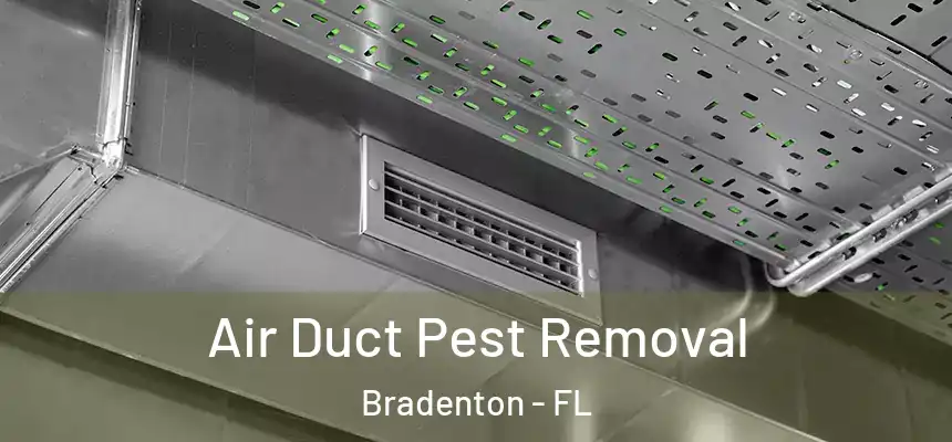 Air Duct Pest Removal Bradenton - FL