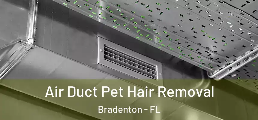 Air Duct Pet Hair Removal Bradenton - FL