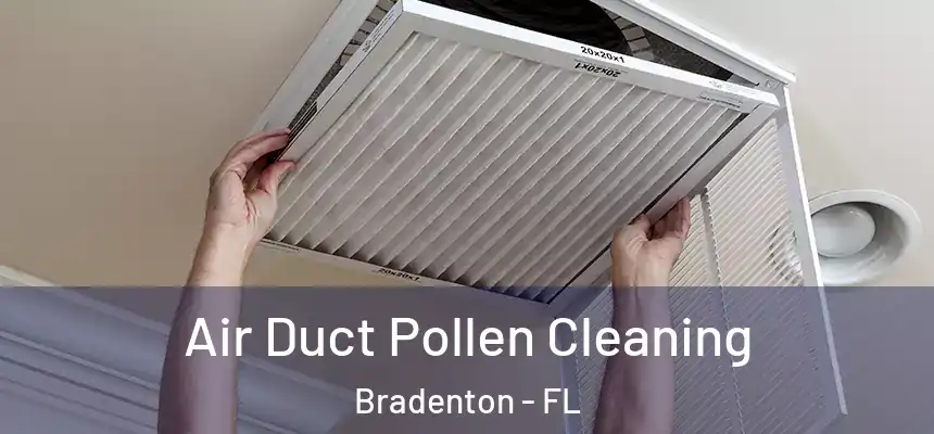 Air Duct Pollen Cleaning Bradenton - FL