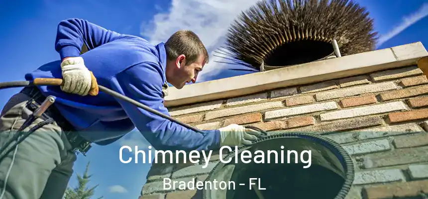 Chimney Cleaning Bradenton - FL
