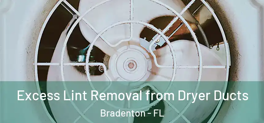 Excess Lint Removal from Dryer Ducts Bradenton - FL