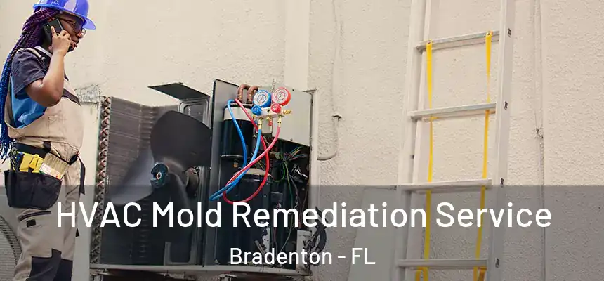 HVAC Mold Remediation Service Bradenton - FL