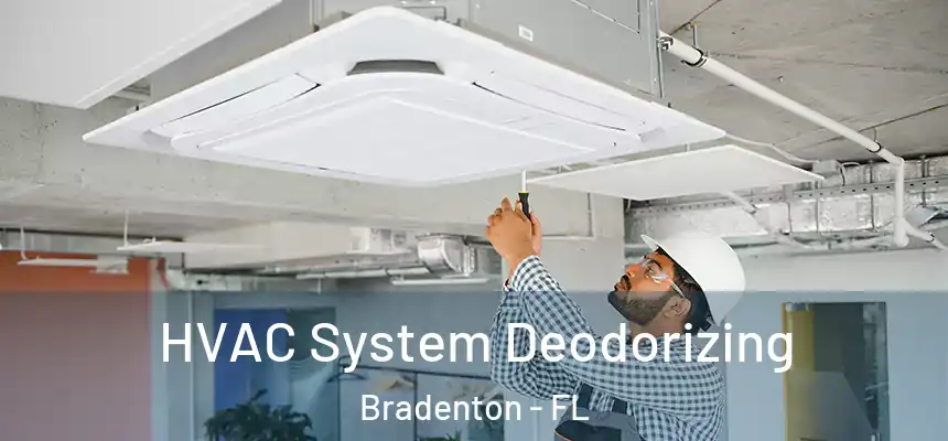 HVAC System Deodorizing Bradenton - FL
