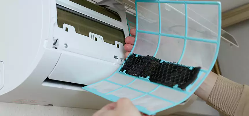 Gentle Ductwork Odor-Control Pet Dander Duct Cleaning in Bradenton, FL