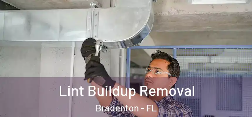 Lint Buildup Removal Bradenton - FL