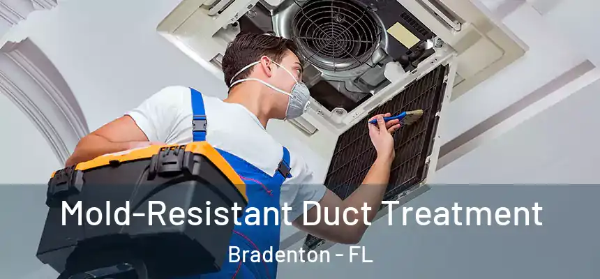 Mold-Resistant Duct Treatment Bradenton - FL