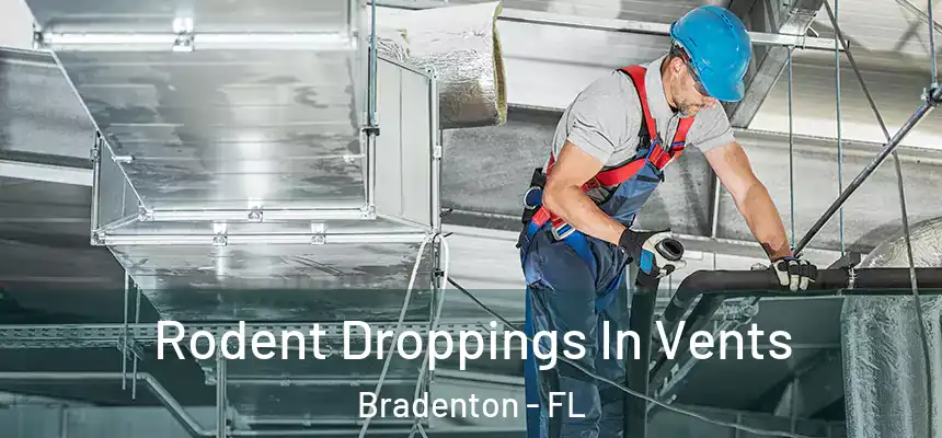 Rodent Droppings In Vents Bradenton - FL