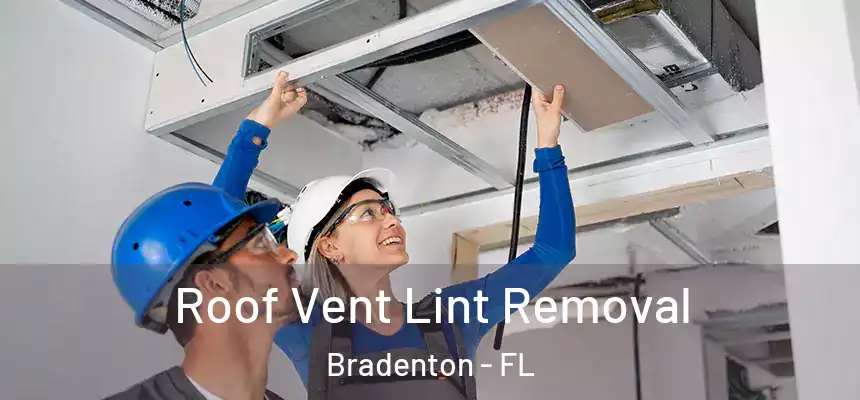 Roof Vent Lint Removal Bradenton - FL