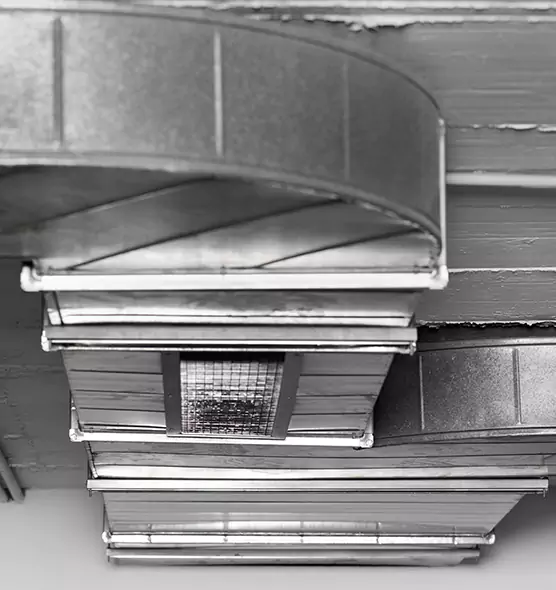 Professional Air Duct Pest Removal in Bradenton, FL