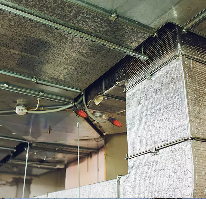 Why Homeowners & Businesses Trust Us in Bradenton, FL?