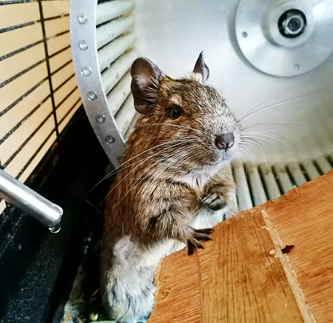 Why Homeowners & Businesses Trust Us Bradenton, FL