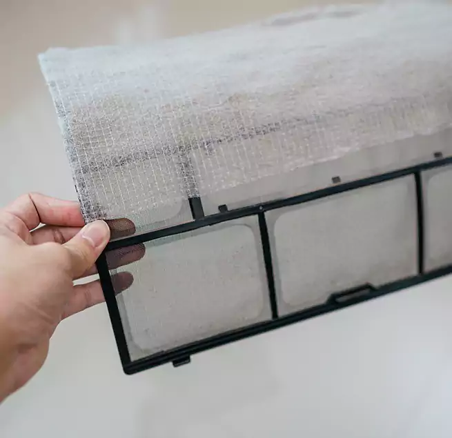 Why Homeowners & Businesses Trust Us in Bradenton, FL?