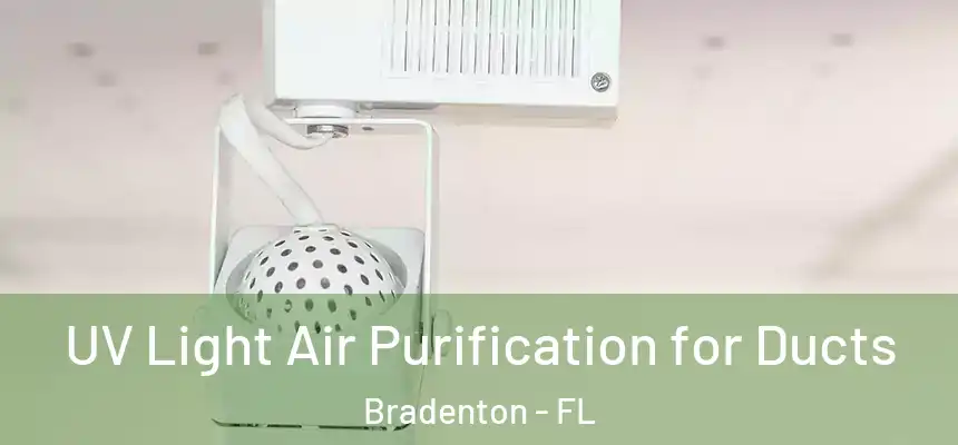  UV Light Air Purification for Ducts Bradenton - FL